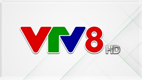 VTV8