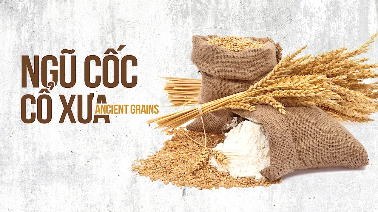 Ngũ Cốc Cổ Xưa