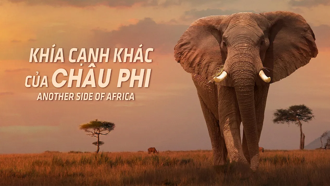 Khía Cạnh Khác Của Châu Phi