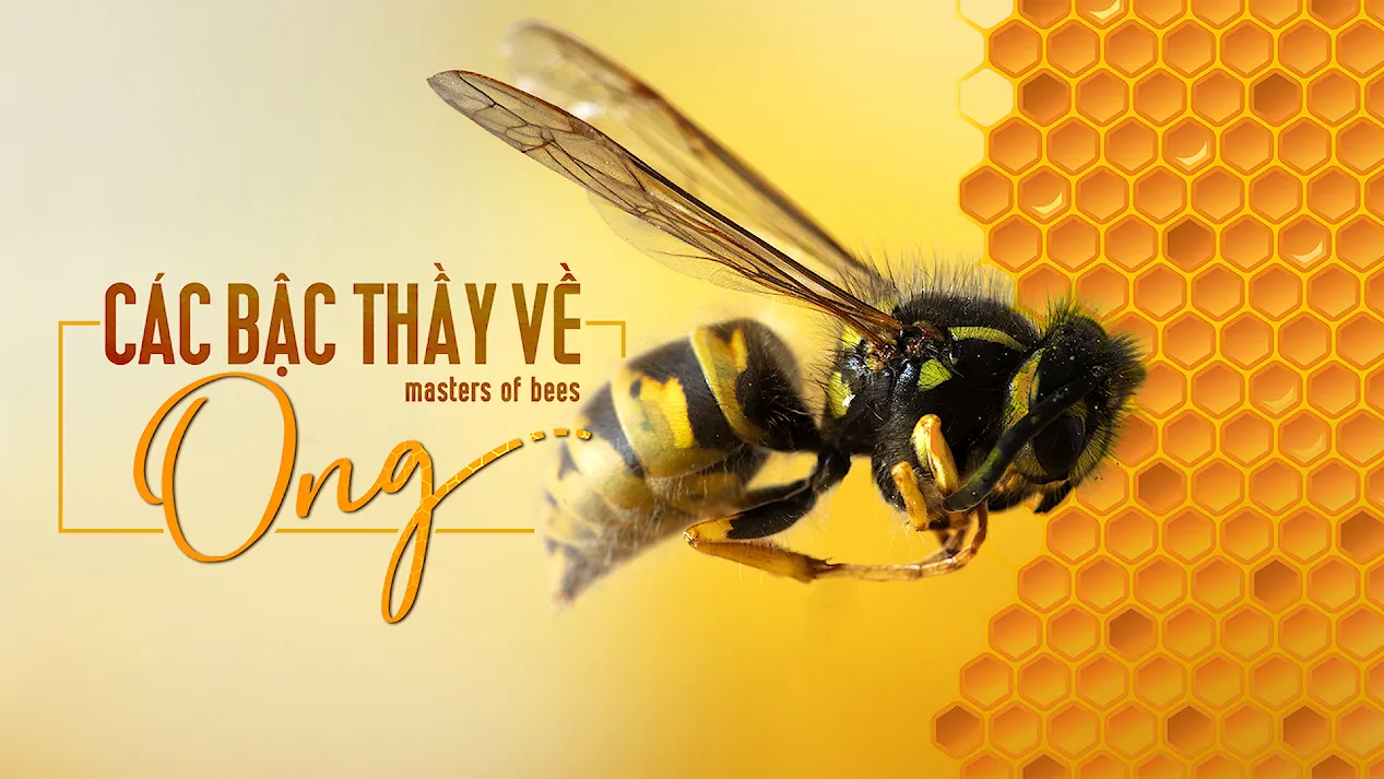 Các Bậc Thầy Về Ong